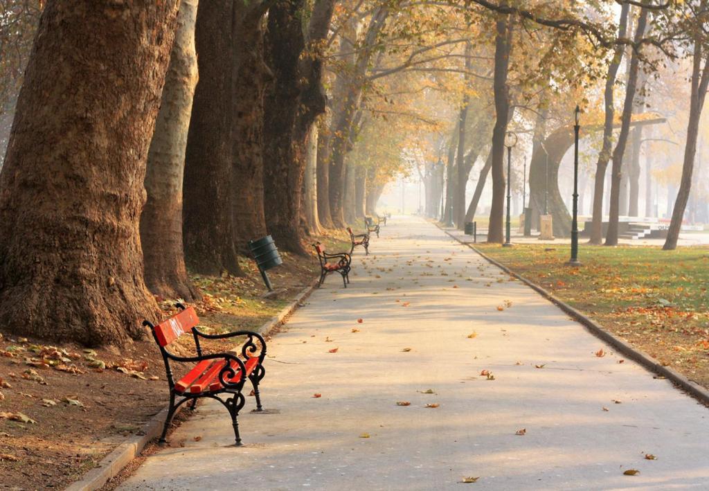 Bohemian Quarter / City Park, Free Parking Lägenhet Skopje Exteriör bild